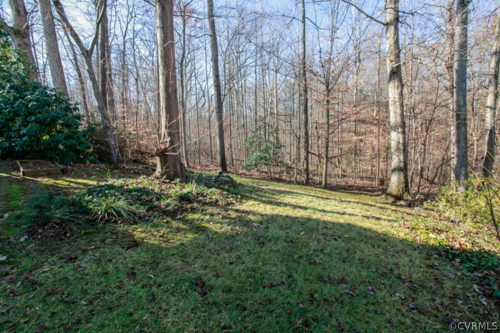 9725 Snowhill Road North Chesterfield, VA 23235 - Photo 23 of 24 Gallery Image 23