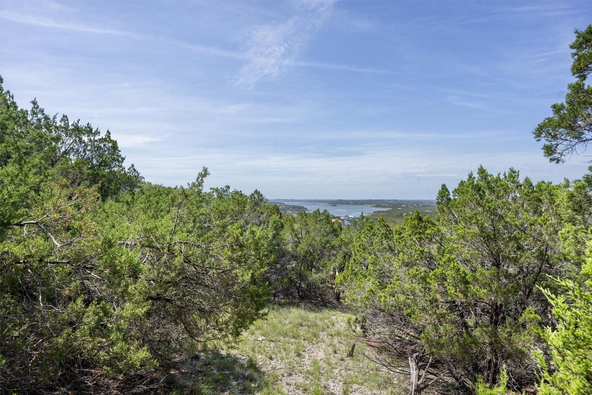 9408 Ranchland Hills Boulevard Jonestown, TX 78645 - Photo 13 of 23 a view of a garden with plants and large trees