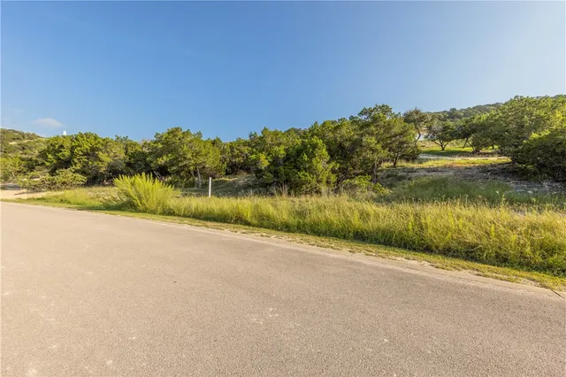 a view of yard with trees