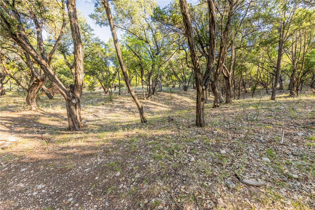 9408 Ranchland Hills Boulevard Jonestown, TX 78645 - Photo 16 of 23 a view of yard with trees