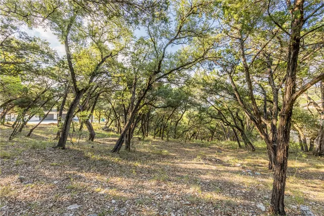 a view of a green field with trees in the background