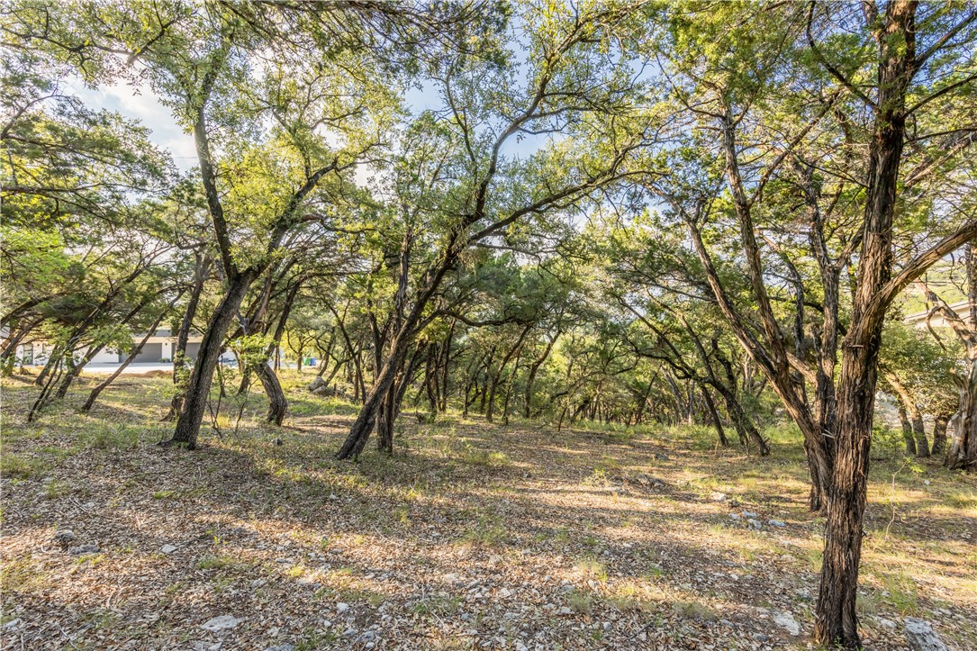 9408 Ranchland Hills Boulevard Jonestown, TX 78645 - Photo 17 of 23 a view of backyard with tree