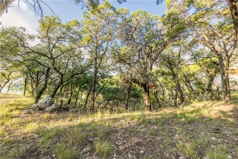 a view of a lake with a tree