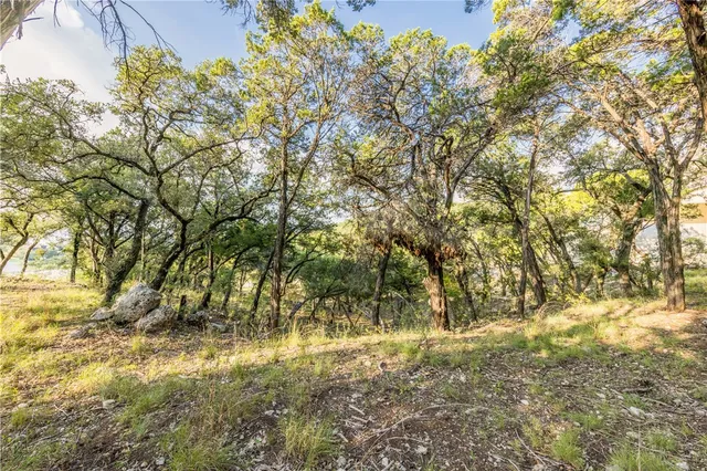 a view of a lake with a tree