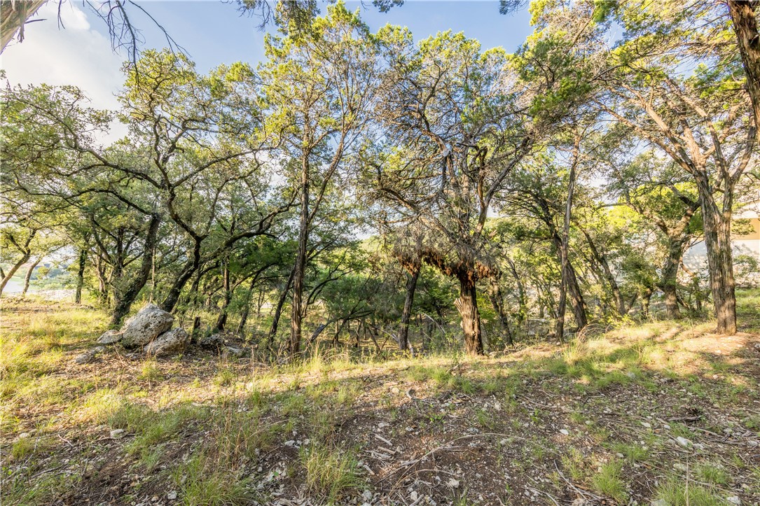 9408 Ranchland Hills Boulevard Jonestown, TX 78645 - Photo 18 of 23 a view of yard next to a building