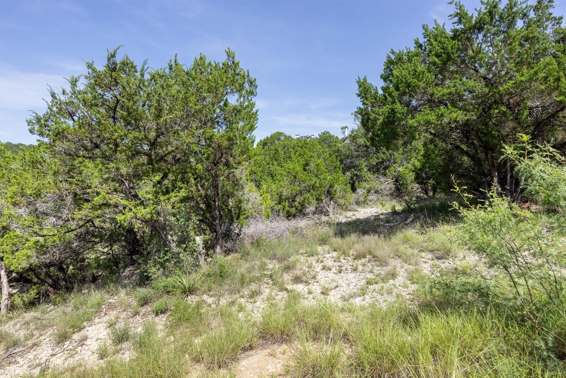 9408 Ranchland Hills Boulevard Jonestown, TX 78645 - Photo 20 of 23 a view of a lake with a tree