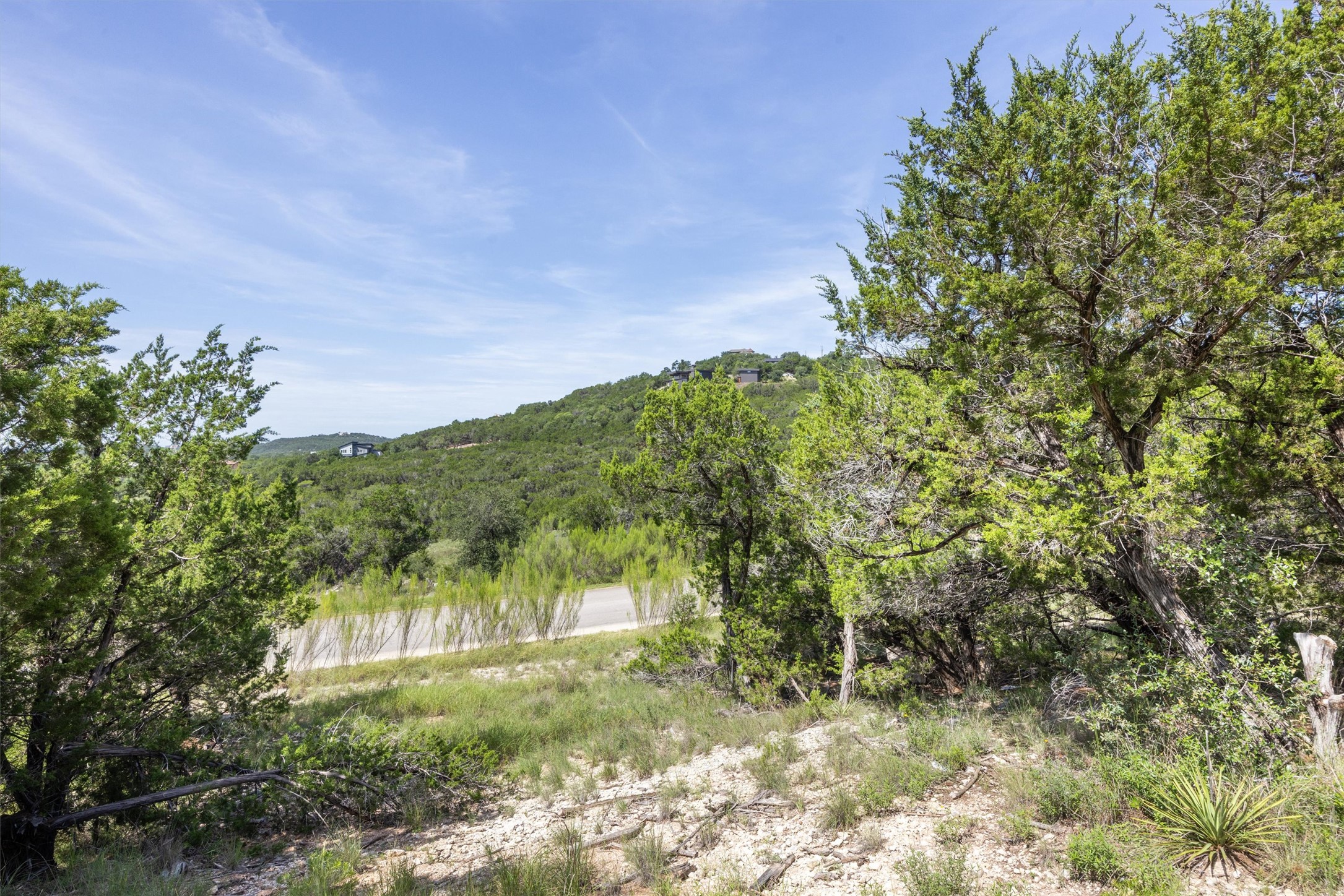 9408 Ranchland Hills Boulevard Jonestown, TX 78645 - Photo 21 of 23 a view of a trees with a yard