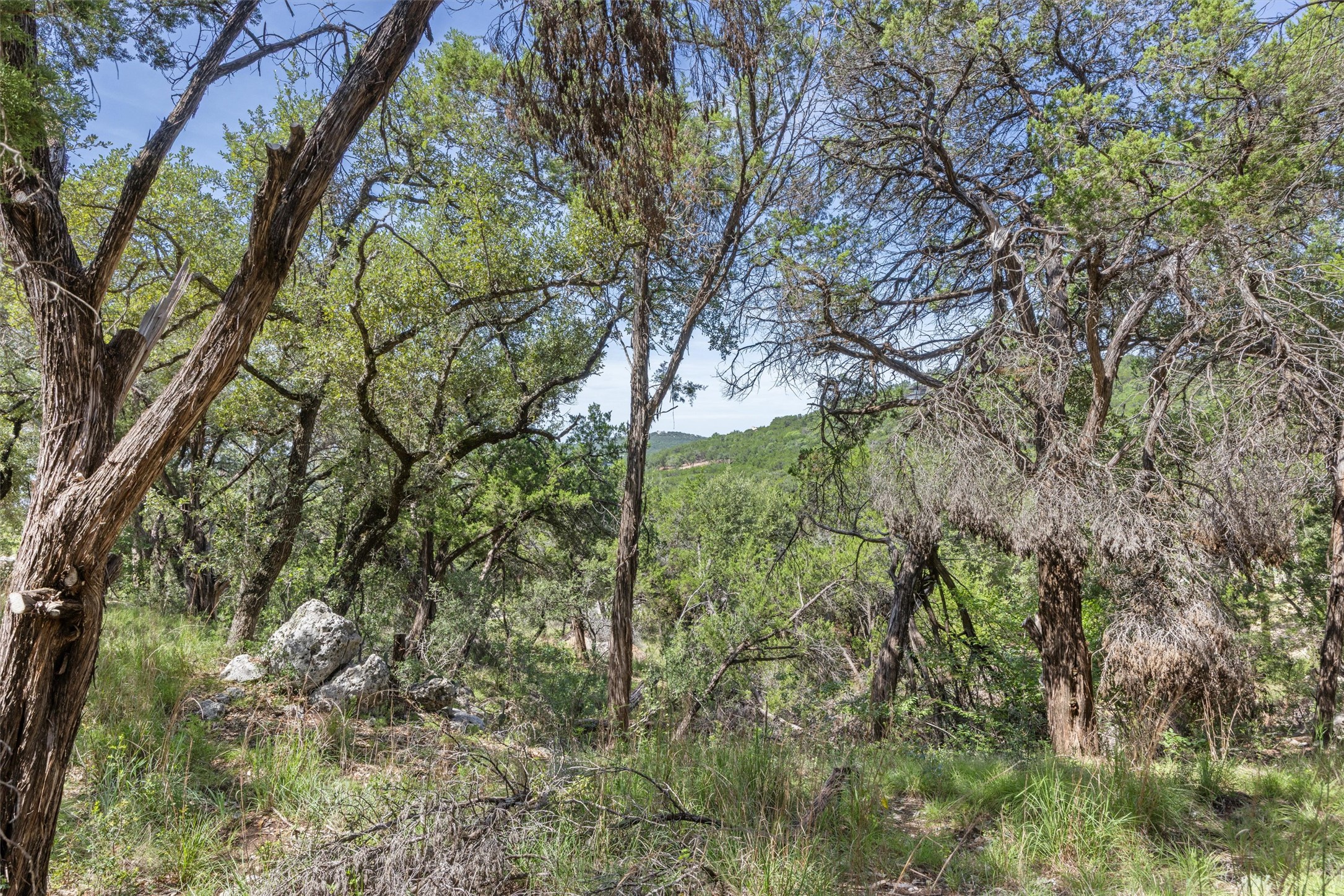 9408 Ranchland Hills Boulevard Jonestown, TX 78645 - Photo 23 of 23 a view of a forest