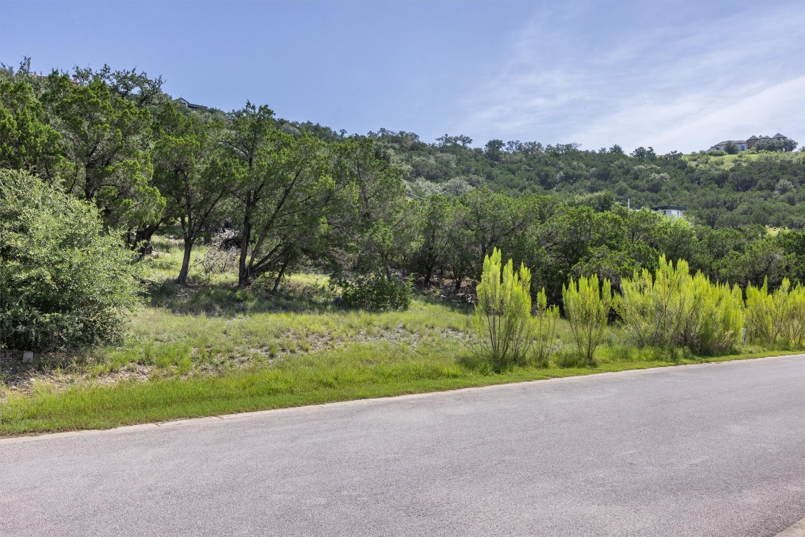 9408 Ranchland Hills Boulevard Jonestown, TX 78645 - Photo 6 of 23 a view of a yard with a tree