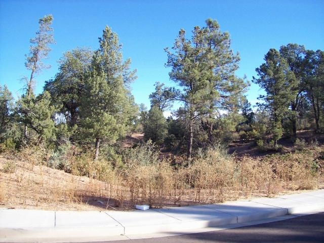 718 South Ridgeway Lane, Unit 25 Payson, AZ 85541 - Photo 1 of 5 Photo 1