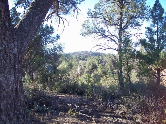 718 South Ridgeway Lane, Unit 25 Payson, AZ 85541 - Photo 5 of 5 Photo 5