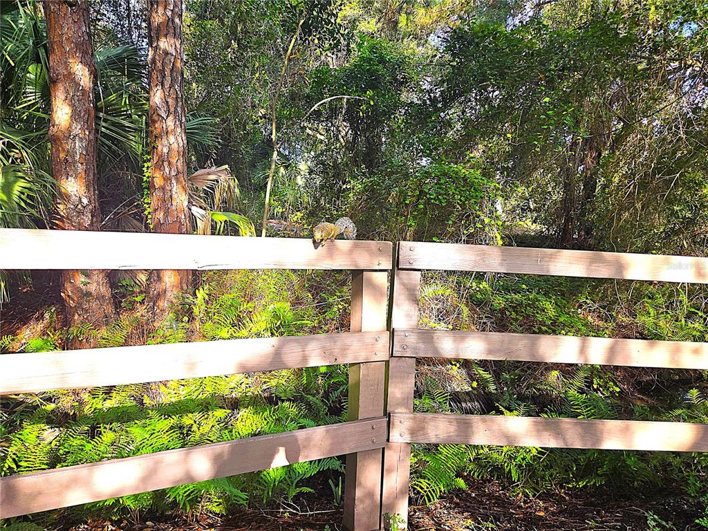 9939 Key Haven Road Seminole, FL 33777 - Photo 80 of 83 Gallery Image 80