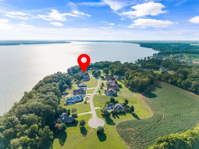 a view of a dining room with furniture and a potted plant