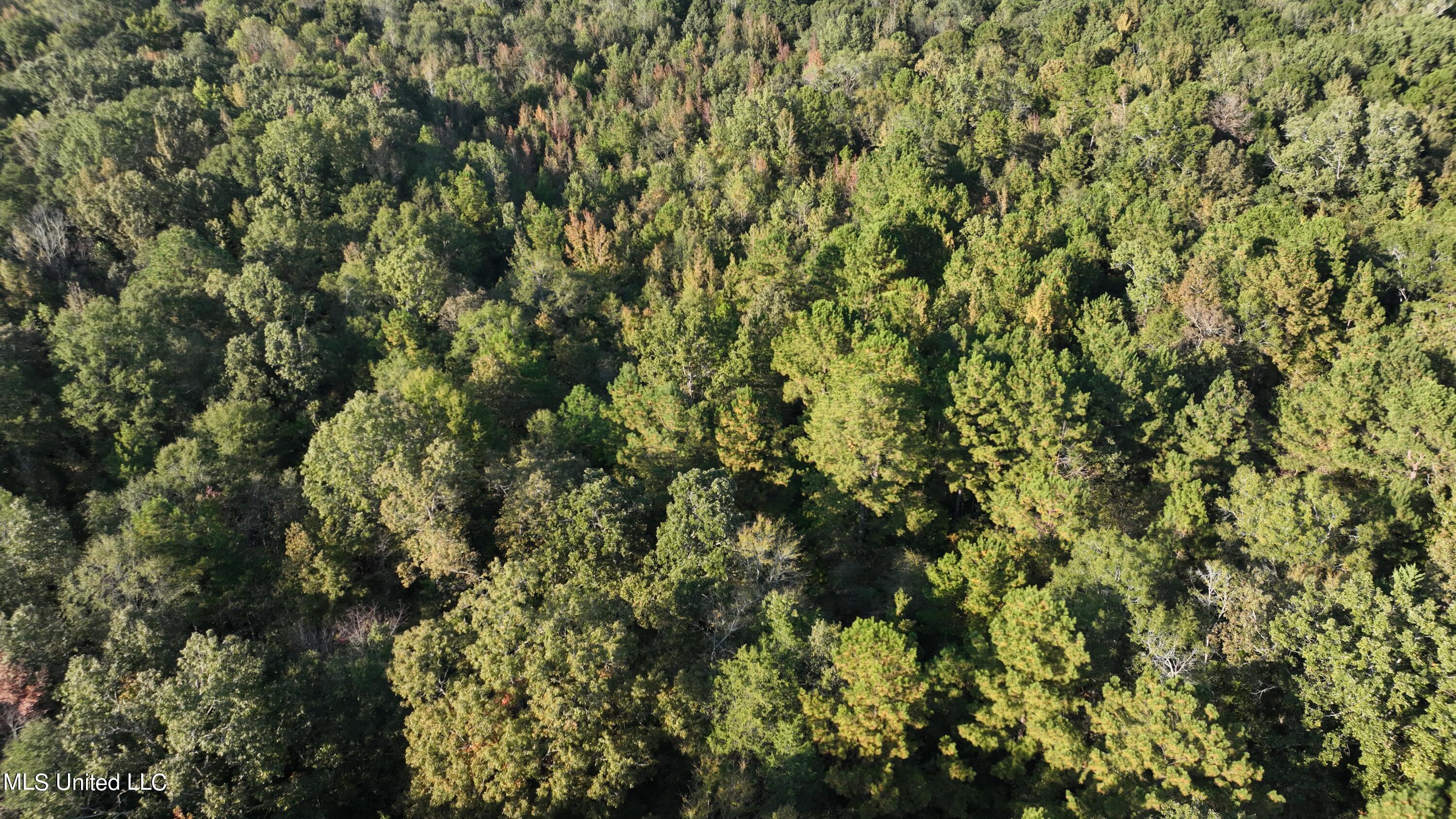 1 Loring Rd Exd Pickens, MS 39146 - Photo 17 of 38 dji_fly_20221010_164314_600_166571048025
