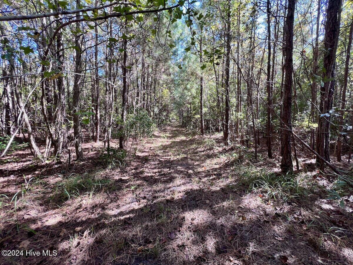 2 River Road Grifton, NC 28530 - Photo 33 of 36 32
