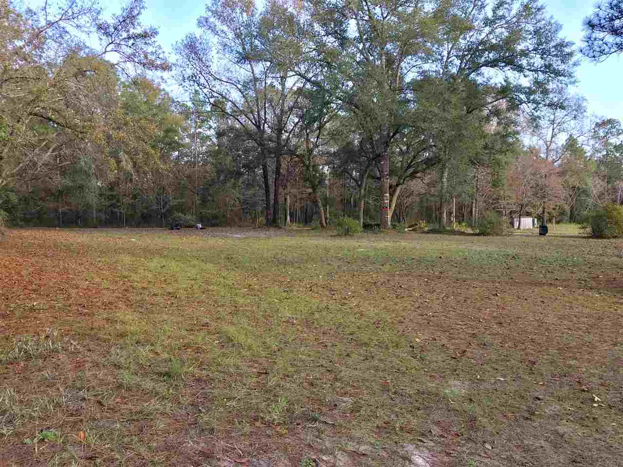 959 Oak Ridge Road East, Unit 1 Woodville, FL 32305 - Photo 2 of 9 Gallery Image 2