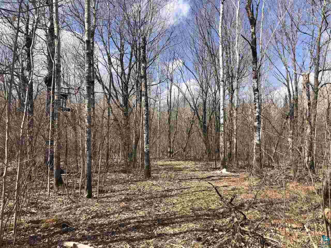 Xxx East Harney Road Esko, MN 55733 - Photo 3 of 3 Gallery Image 3