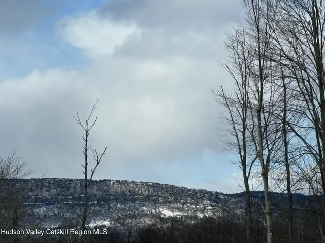 a view of a backyard of the house