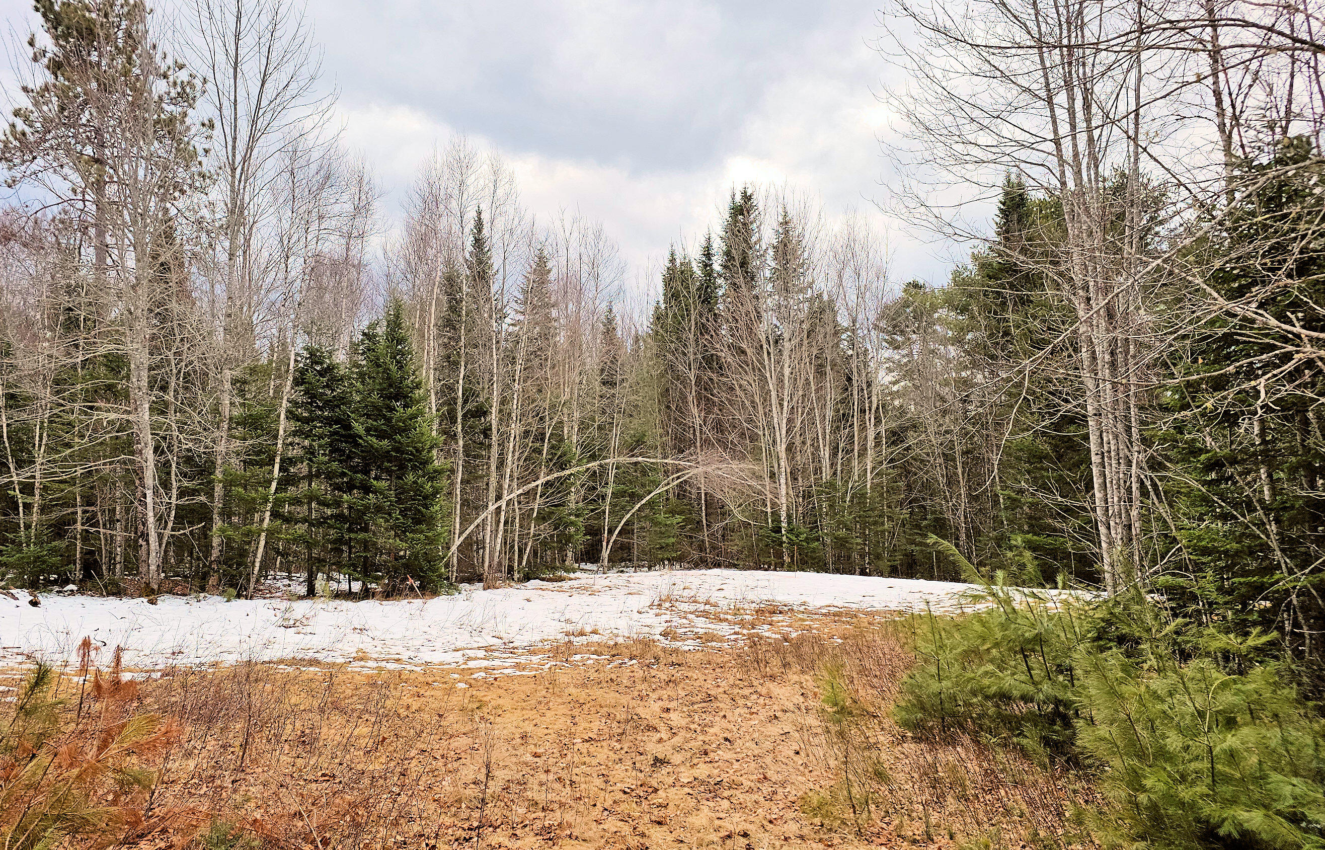 Lot #92 Smith Road Ellsworth, ME 04605 - Photo 6 of 18 Septic System