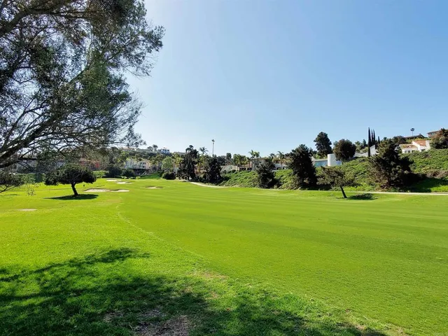 a view of a field of grass and trees