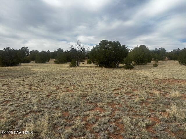 Lot 382-se Gable Road Seligman, AZ 86337 - Photo 6 of 11 IMG_8798
