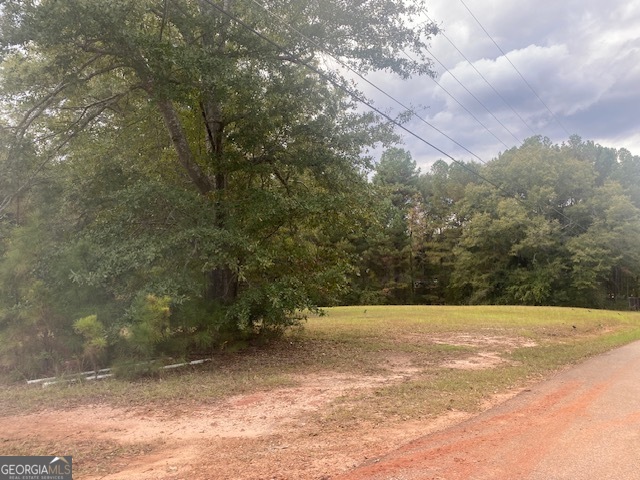 95 Hutchins-Moody Road Hogansville, GA 30230 - Photo 4 of 4 a view of basketball court