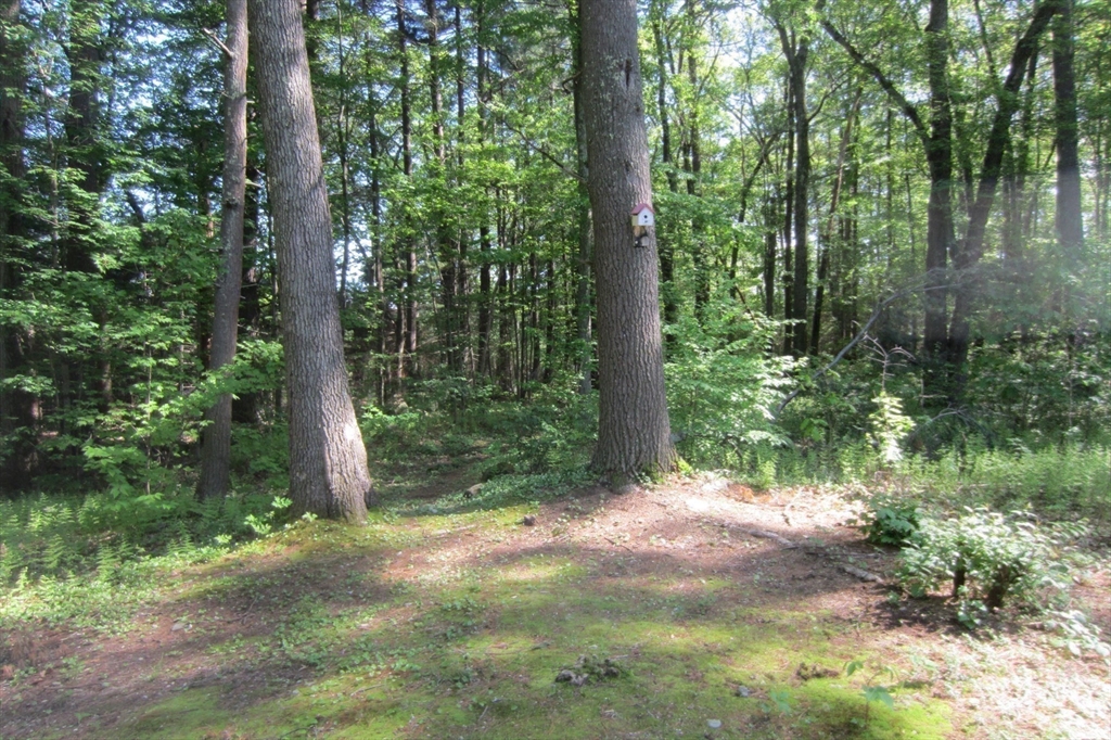 30 Bailey Road Oxford, MA 01540 - Photo 18 of 41 Gallery Image 18