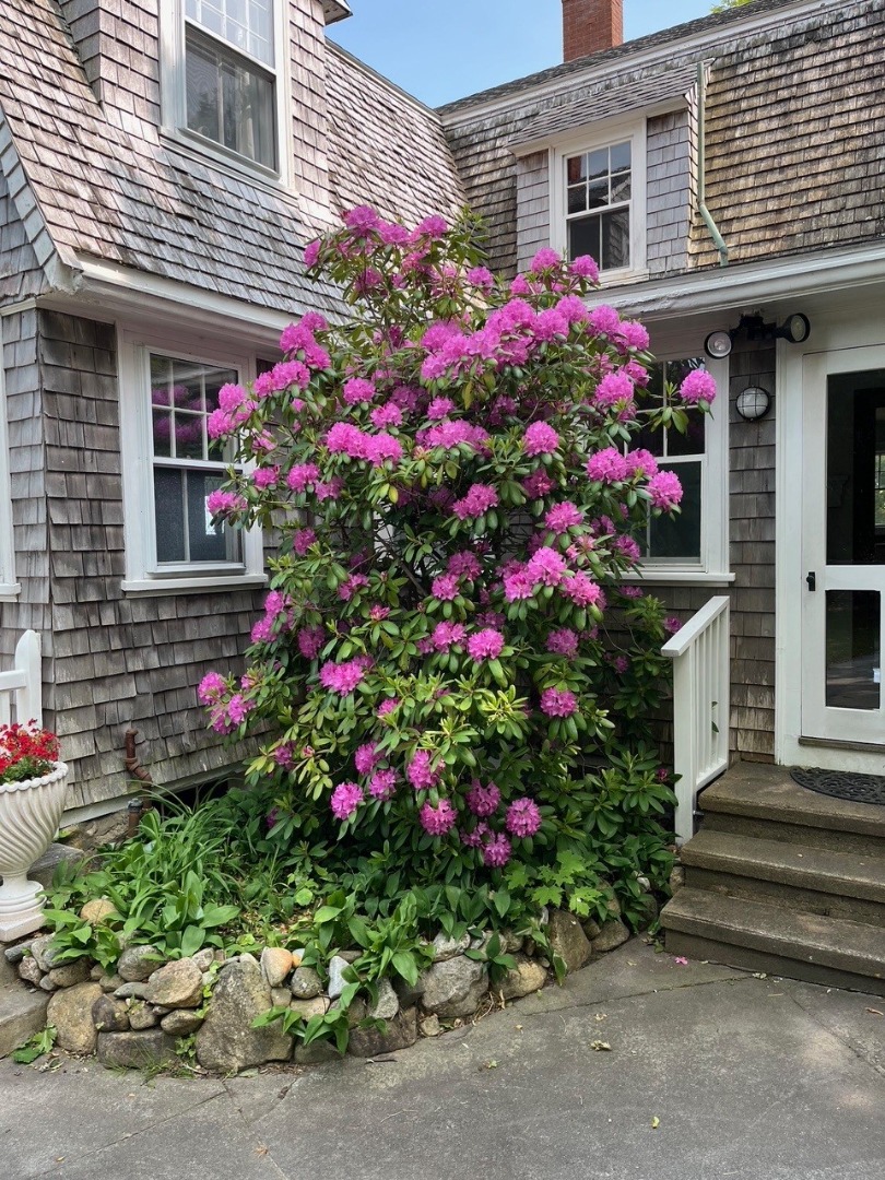 33 Goethals Way Vineyard Haven, MA 02568 - Photo 31 of 34 a flower garden in front of a house