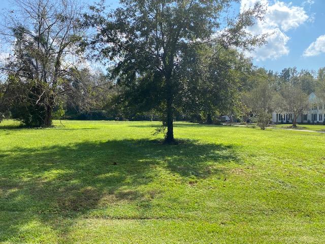 933 Fishburne Road Pinopolis, SC 29469 - Photo 1 of 1 Fishburne-Pic