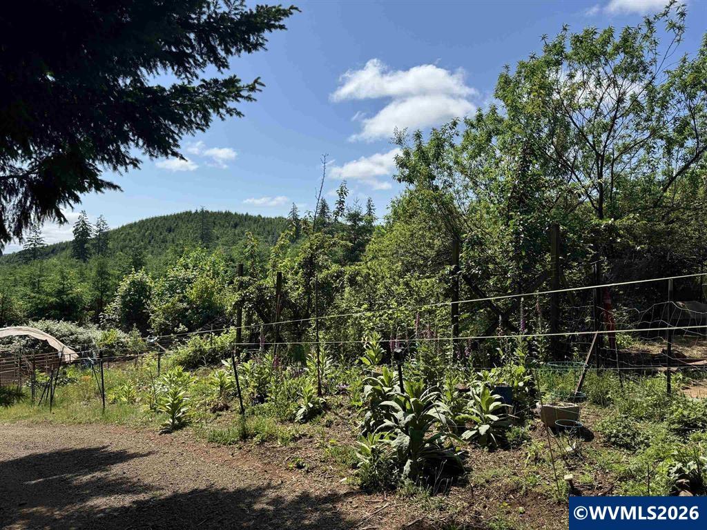 6100 Teal Creek Road Dallas, OR 97338 - Photo 35 of 41 a backyard of a house with lots of green space