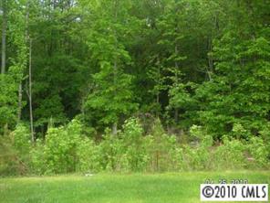 412 Danielle Way Fort Mill, SC 29715 - Photo 3 of 8 a view of a lush green forest with trees all around