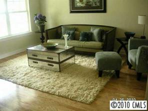 412 Danielle Way Fort Mill, SC 29715 - Photo 4 of 8 a living room with furniture and a rug
