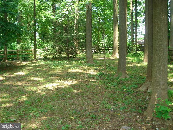 705 Gateway Road Hockessin, DE 19707 - Photo 7 of 24 View in Back