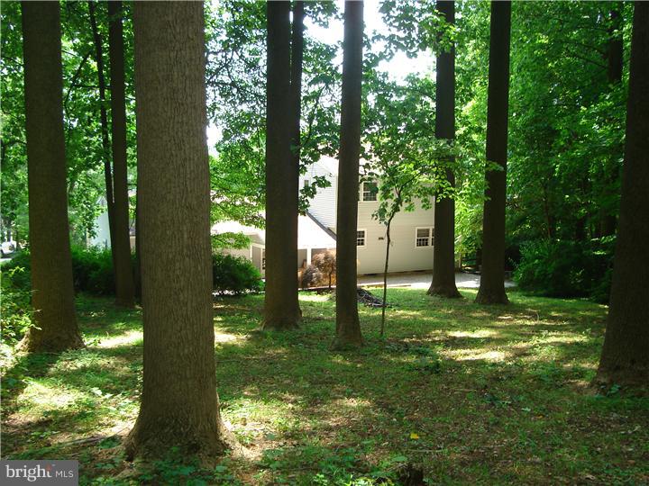 705 Gateway Road Hockessin, DE 19707 - Photo 8 of 24 View in Back