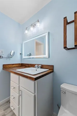 a bathroom with a sink and a toilet
