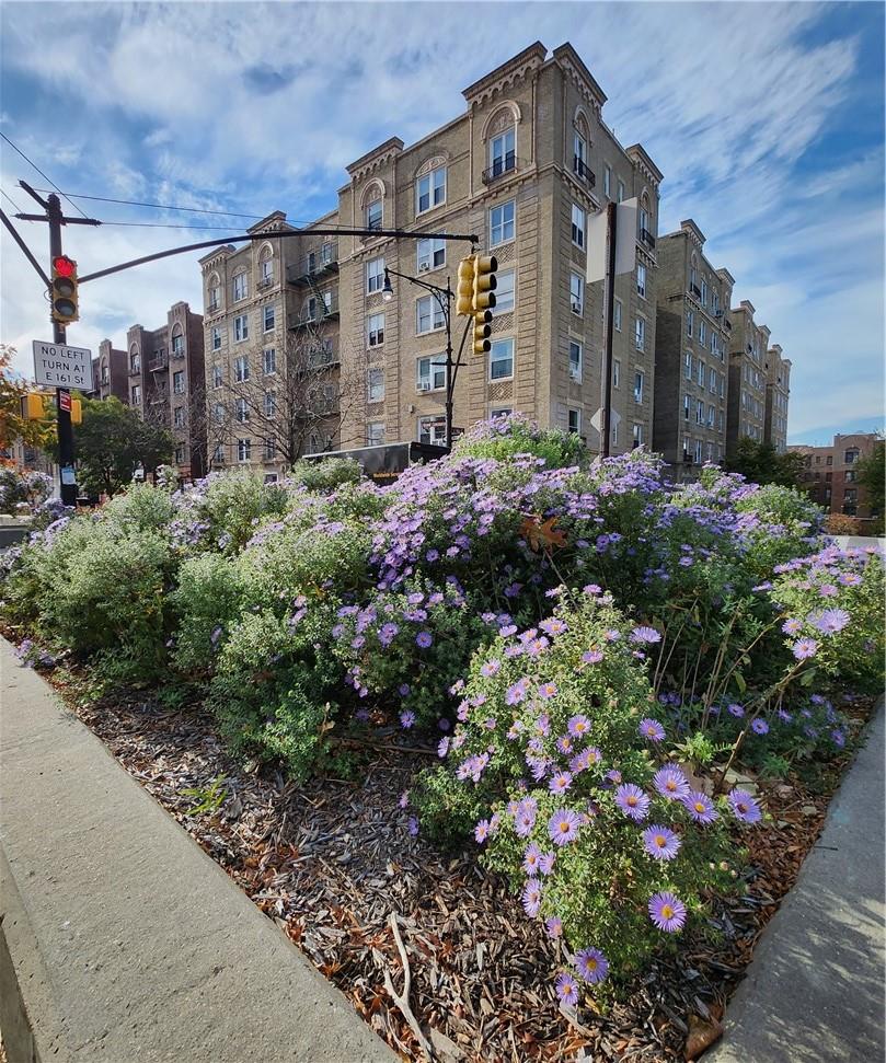 1075 Grand Concourse, Unit AL Bronx, NY 10452 - Photo 1 of 1