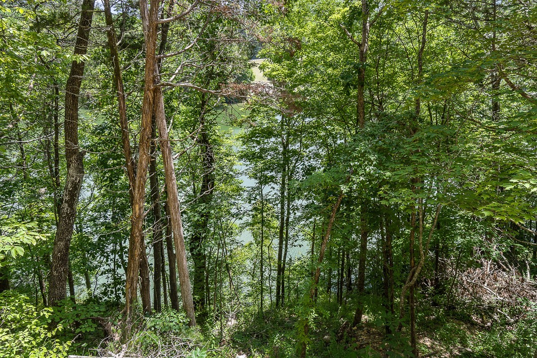 424 Ed Phifer Road Quebeck, TN 38579 - Photo 55 of 65 Gallery Image 55