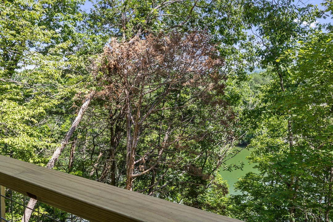 424 Ed Phifer Road Quebeck, TN 38579 - Photo 58 of 65 Gallery Image 58