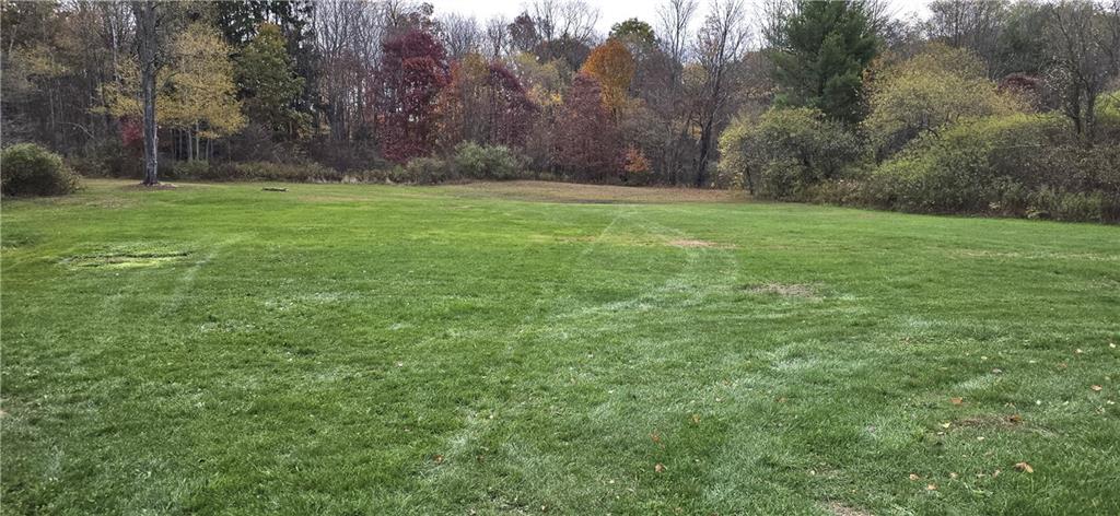 274 Barletta Road Reynoldsville, PA 15851 - Photo 10 of 11 a view of a grassy field with trees