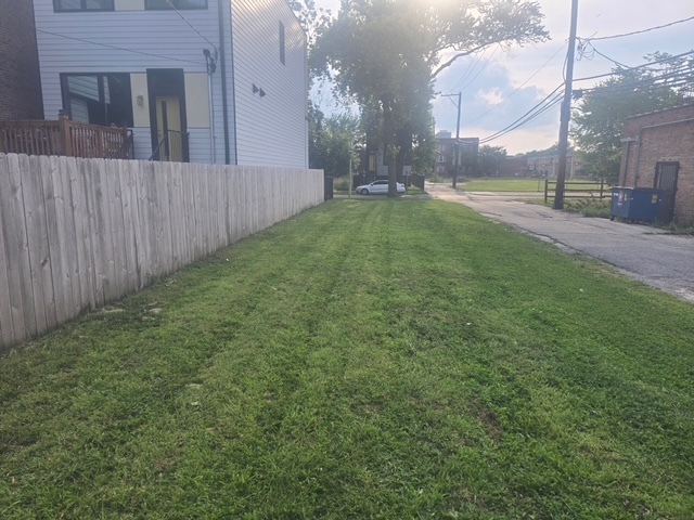 a view of a backyard