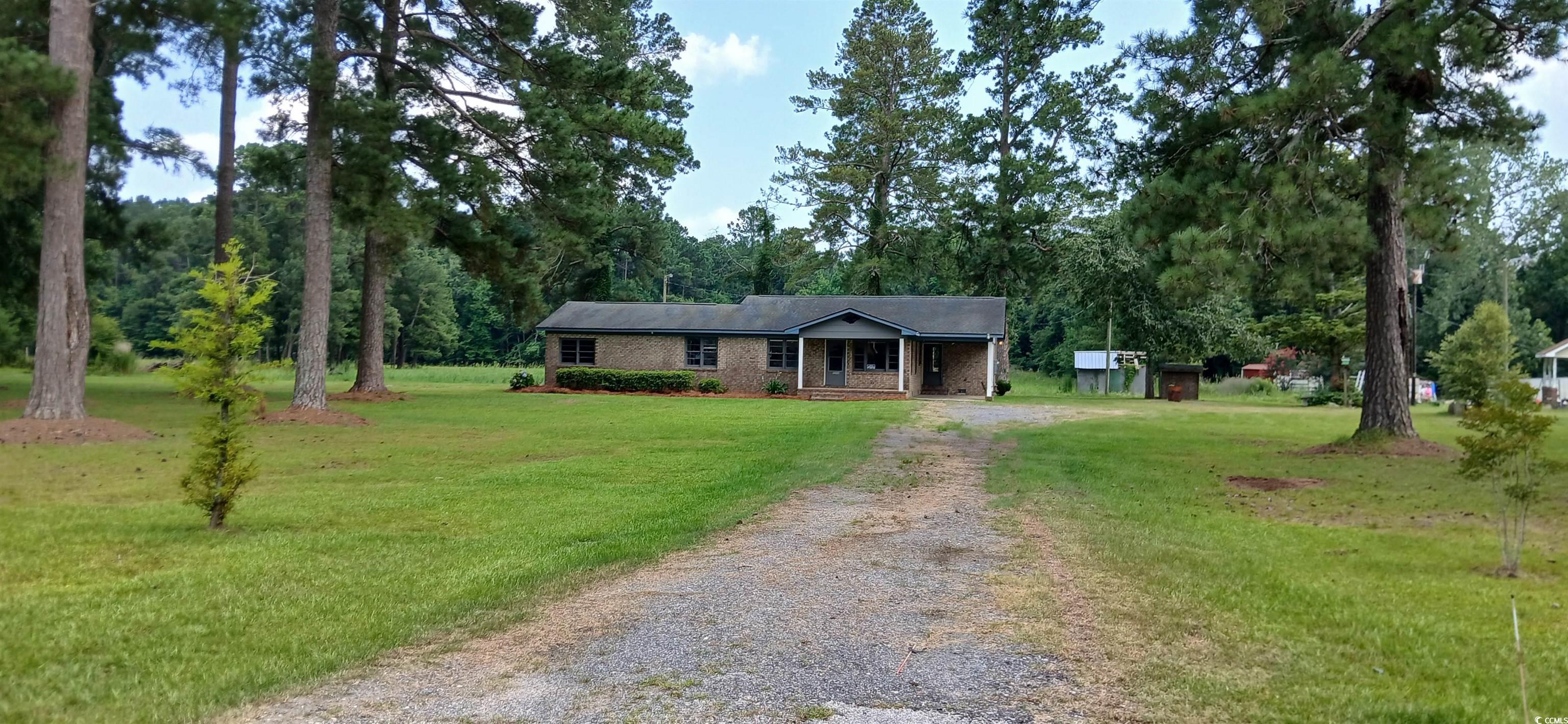 1206 French Road Mullins, SC 29574 - Photo 2 of 31 Ranch-style house featuring driveway and a front yard