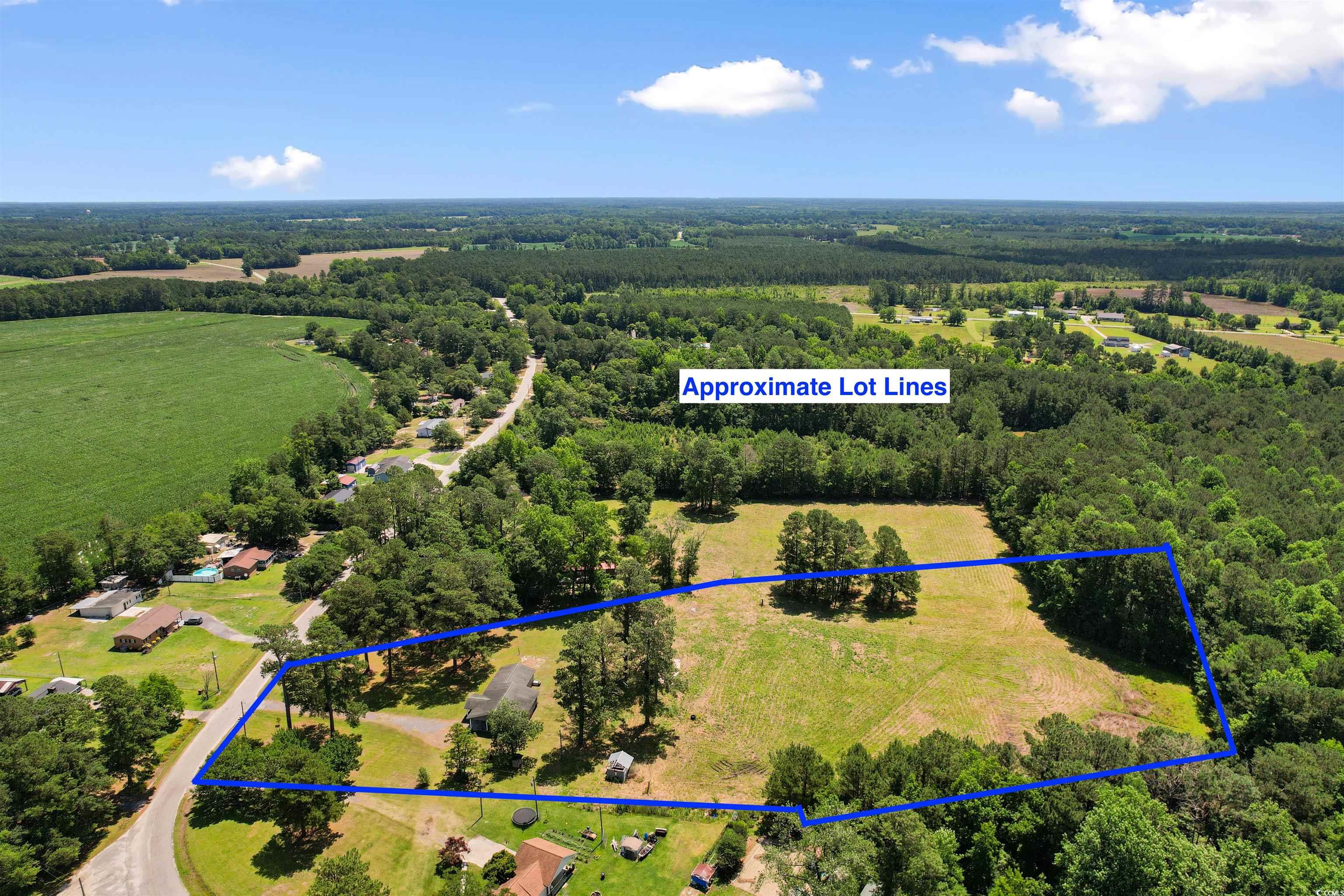 1206 French Road Mullins, SC 29574 - Photo 9 of 31 View of property location featuring a forest and property boundaries highlighted