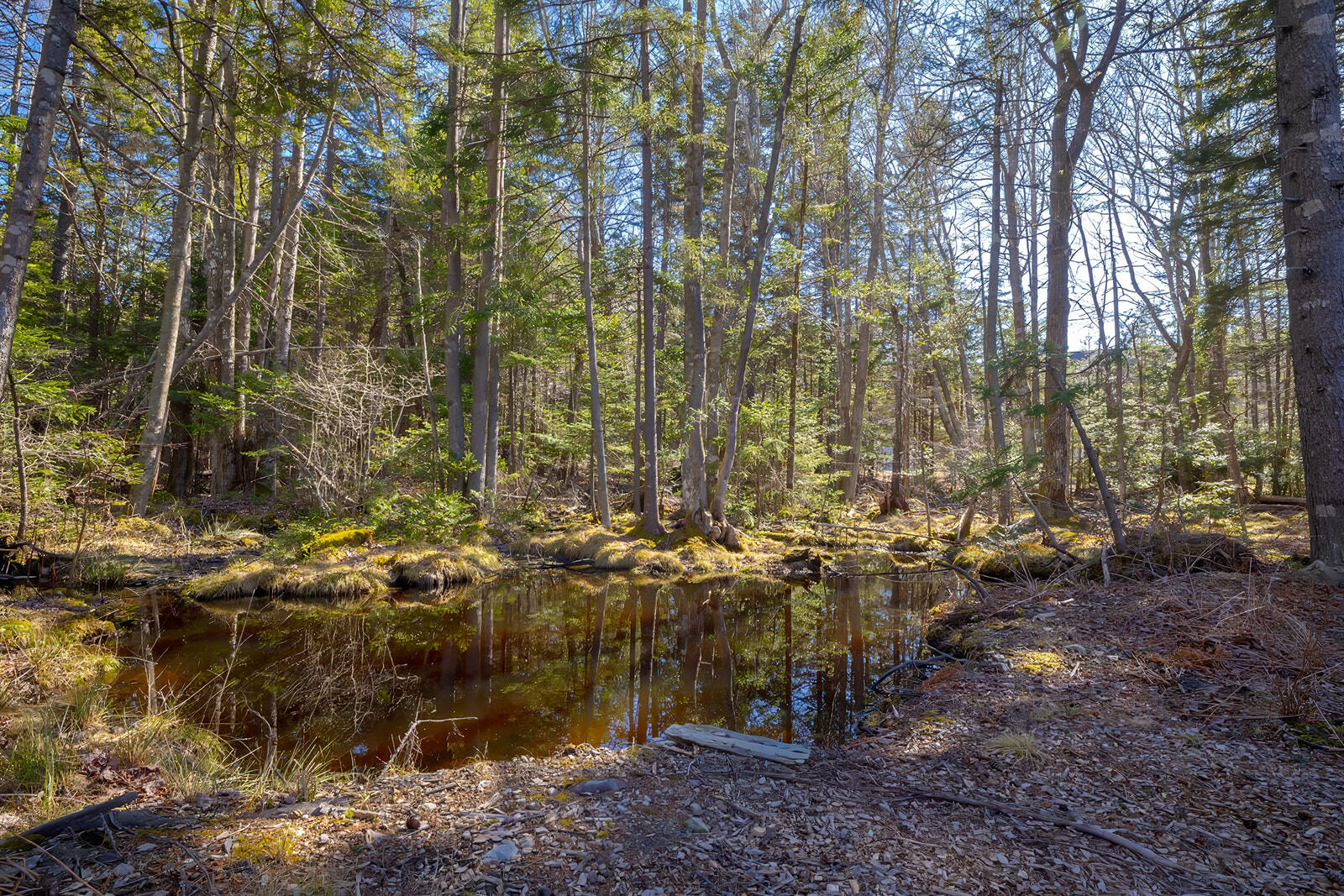 1999 Bayside Road Trenton, ME 04605 - Photo 68 of 78 88-1999 Bayside Road-DTP