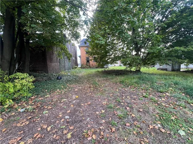 a view of a yard with plants and a trees