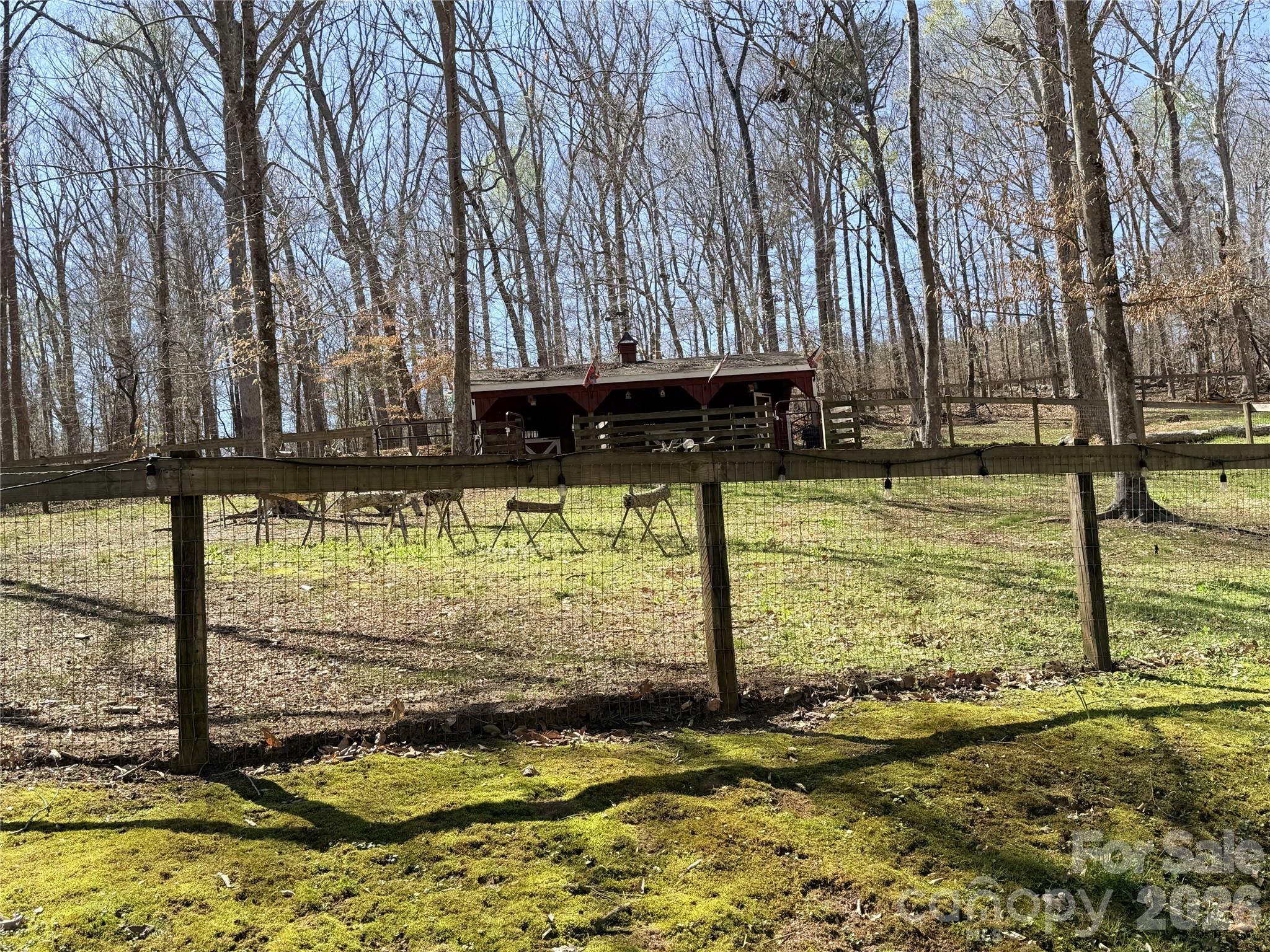 1941 Landrum Road Columbus, NC 28722 - Photo 15 of 23