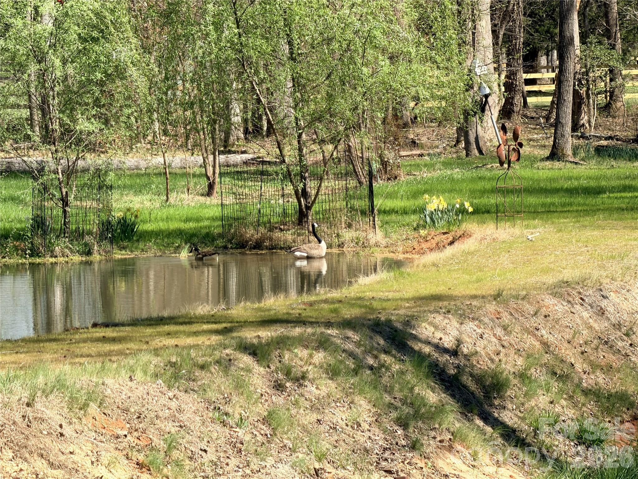 1941 Landrum Road Columbus, NC 28722 - Photo 4 of 23