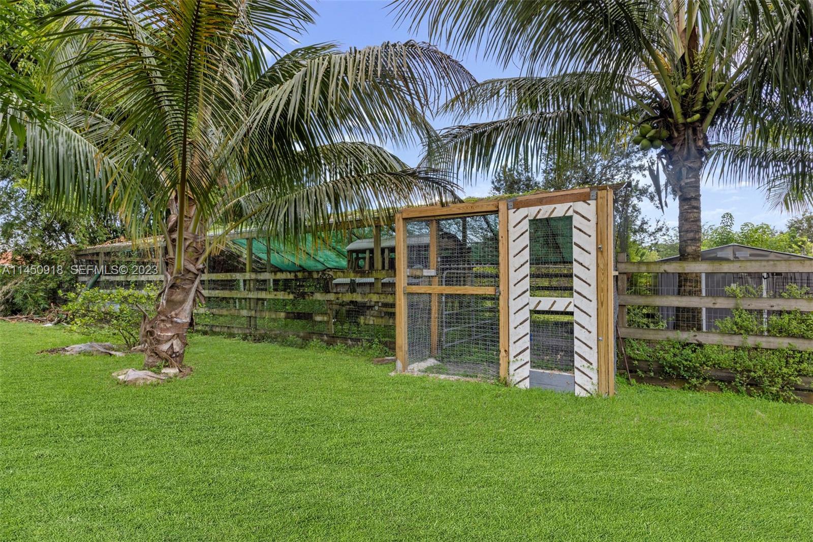 6410 Melaleuca Road Southwest Ranches, FL 33330 - Photo 37 of 50 a view of a yard with a palm trees
