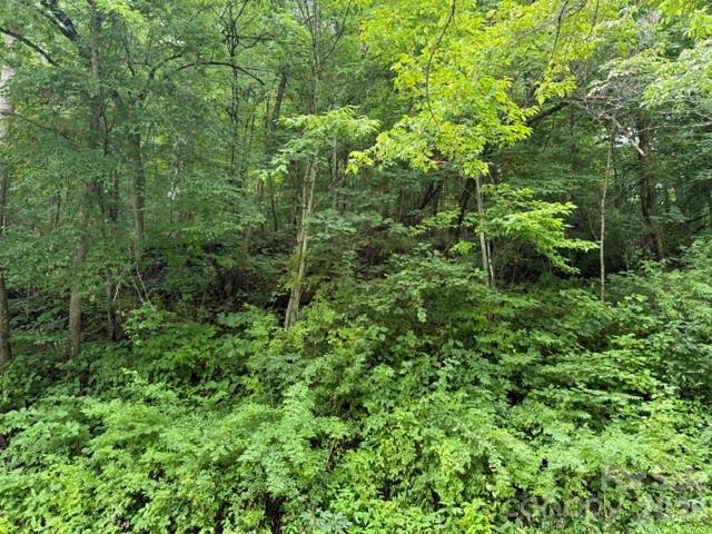 Tbd Meadow Fork Road Hot Springs, NC 28743 - Photo 15 of 20