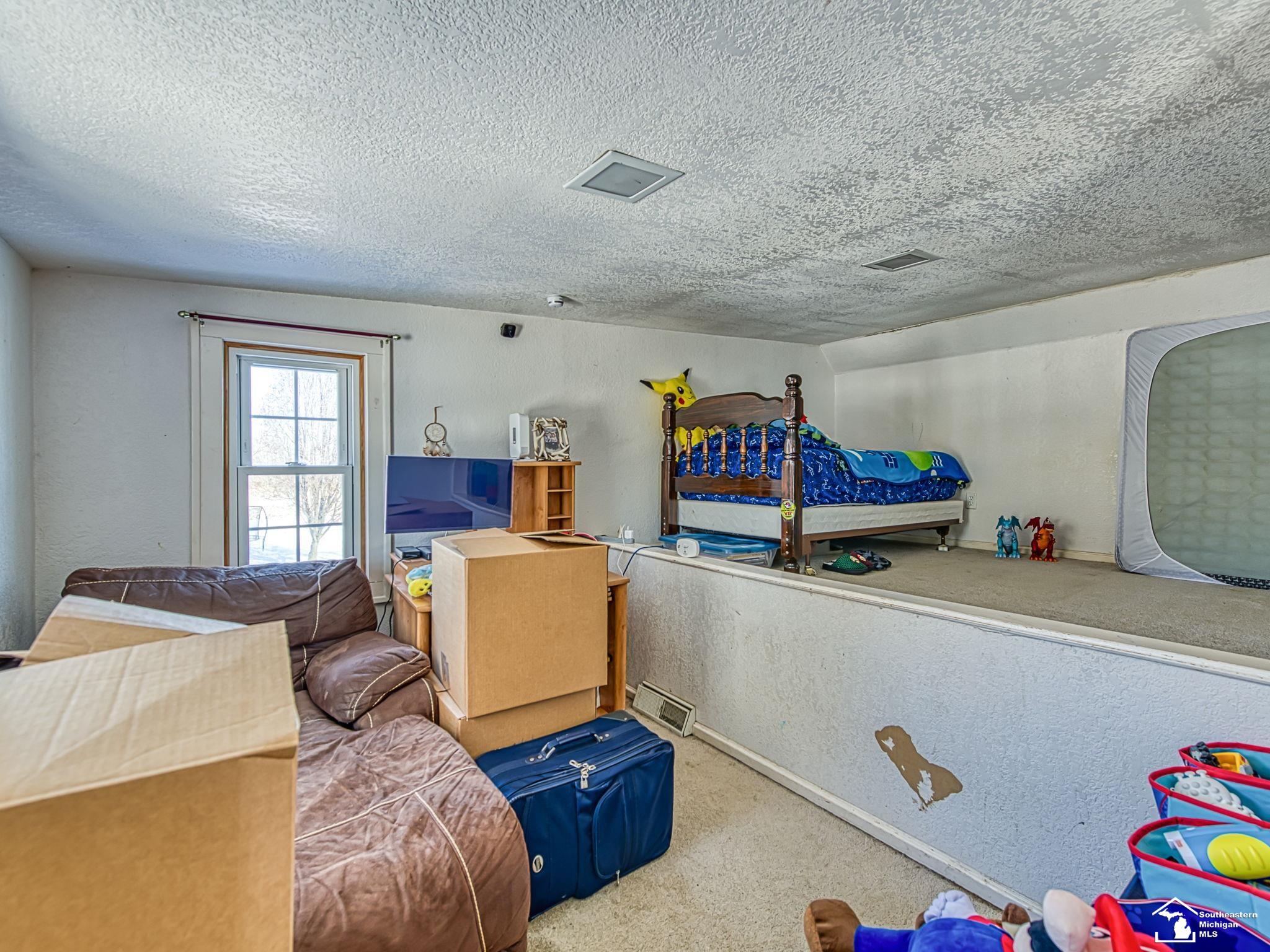 16246 Morocco Road Petersburg, MI 49270 - Photo 19 of 48 50195694-e4c743b9-3337-4912-8bbd-0935f22c9ea7.JPG