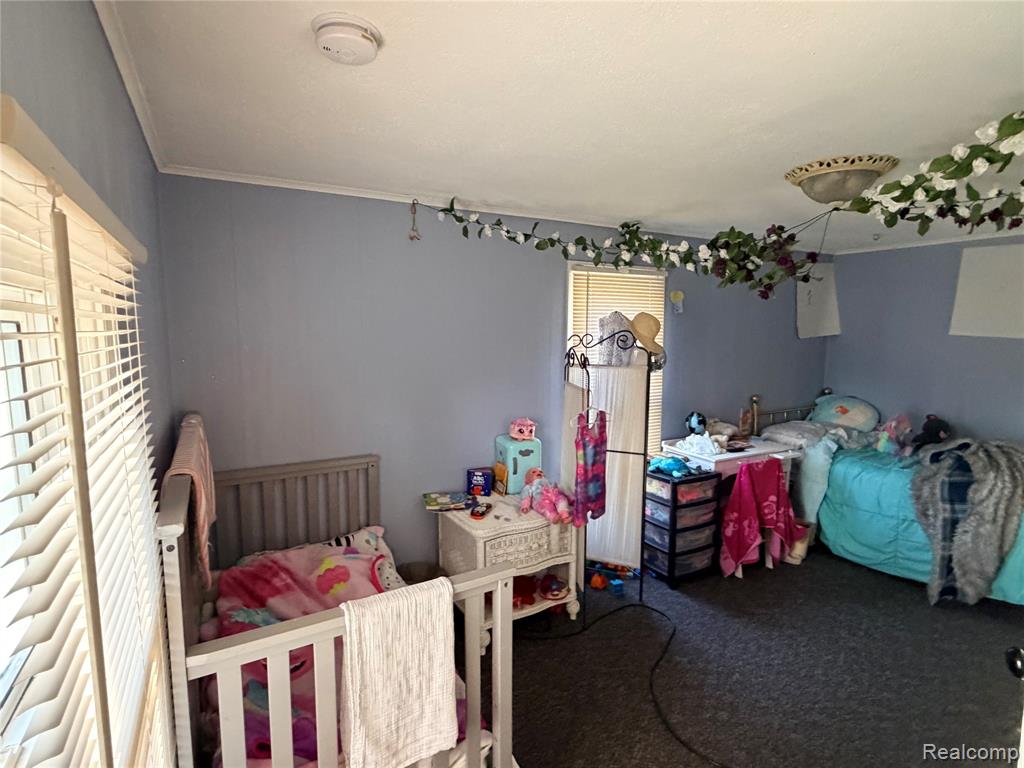 6038 Byron Road Howell, MI 48855 - Photo 17 of 24